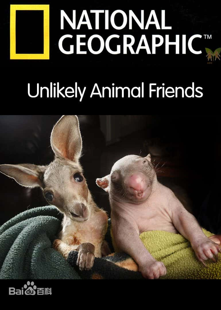 ¼Ƭ ˼ĺѡ 5ȫ Unlikely Animal Friends (2012) - ¼ƬԴ1080P/720P/360PѸ