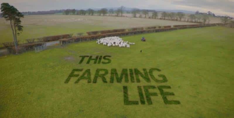 BBC¼Ƭũ This Farming Life 2017ڶȫ12-