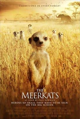 ¼ƬɸTheMeerkats(2008)-Ѹ