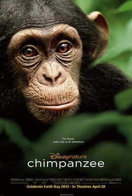 ¼ƬChimpanzee(2012)-Ѹ