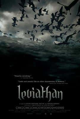 ¼Ƭά̹Leviathan(2012)-Ѹ