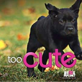 ¼ƬȳɳǵڶTooCute!Season2(2012)-Ѹ