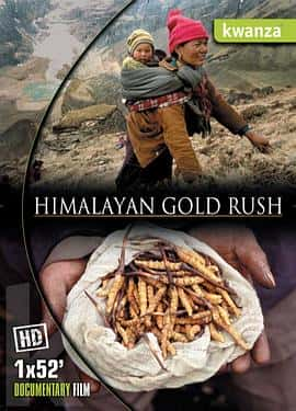 ¼ƬϲŴԽHymalayanGoldRush(2012)-Ѹ