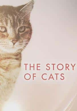 ¼ƬèƶĹTheStoryofCats(2016)-Ѹ