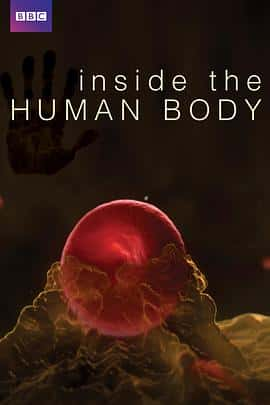 ¼ƬInsidetheHumanBody(2011)-Ѹ