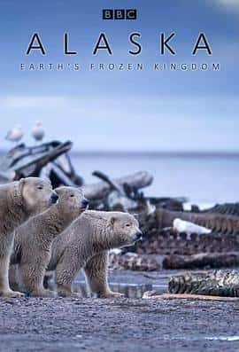 ¼Ƭ˹ӣϵıAlaska:EarthsFrozenKingdom(2015)-Ѹ