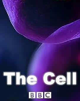 ¼ƬϸTheCell(2009)-Ѹ