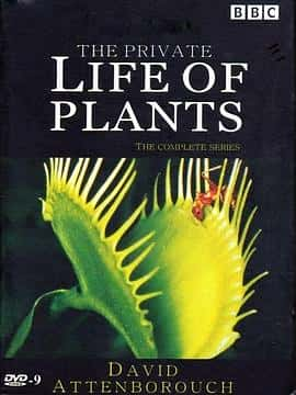 ¼Ƭֲ˽ThePrivateLifeofPlants(1995)-Ѹ