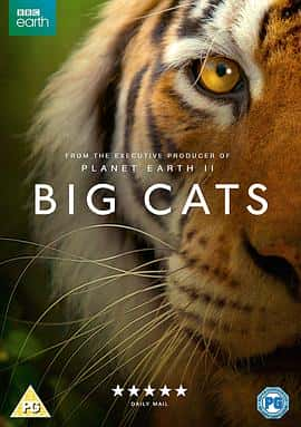 ¼ƬèBigCats(2018)-Ѹ