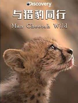 ¼ƬԱͬMan,Cheetah,Wild(2013)-Ѹ