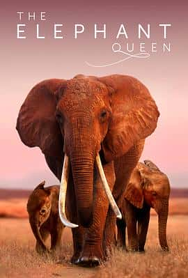 ¼ƬŮTheElephantQueen(2018)-Ѹ