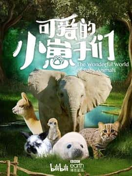 ¼ƬɰСTheWonderfulWorldofBabyAnimals(2019)-Ѹ