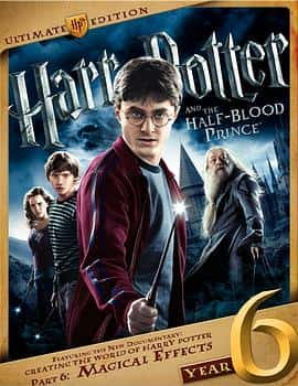 ¼Ƭص磺ħЧCreatingtheWorldofHarryPotterPart6MagicalEffects(2011)