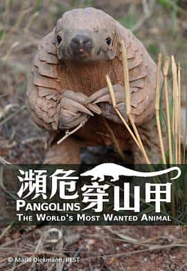 ¼ƬɽףɱĶPangolins:TheWorldsMostWantedAnimal(2018)-Ѹ