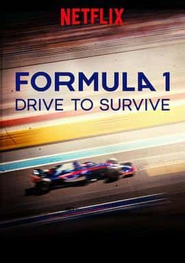 ¼ƬһʽʤڶFormula1:DrivetoSurviveSeason2(2020)-Ѹ