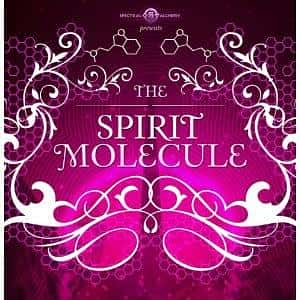 ¼Ƭ׻ɫDMT:TheSpiritMolecule(2014)-Ѹ