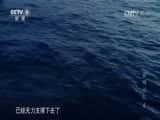 CCTV¼Ƭ˳䡷CCTV-documentary-H264߹ۿ-