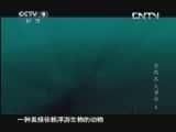 CCTV¼ƬȻ¼棩-Ѹ