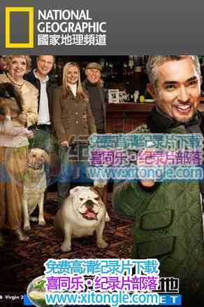 ¼Ƭ--湷೤/ߡDog Whisperer with Cesar Millan - ٶ1080P