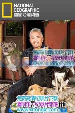 ೤ѡѡCesar Millan's Leader of The Pack-¼Ƭ