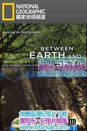 ¼Ƭ--ƮءBetween Earth And Sky - Ѹ