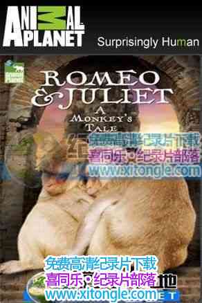 Romeo &amp; Juliet a Monkey's Tale-¼Ƭ