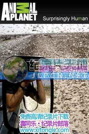 ¼Ƭɷ޵Ļȳ Locust Invasion-