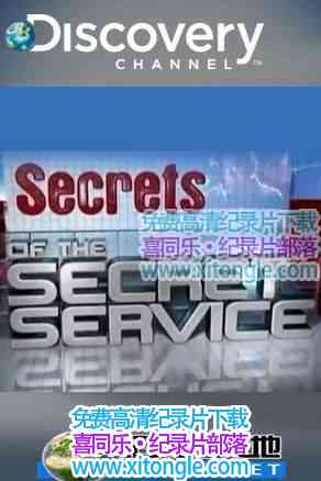 ¼Ƭ̽ھ Secrets of the Secret service-