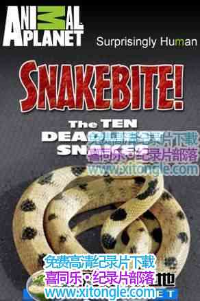 ¼Ƭ̽ Ten Deadliest Snakes-