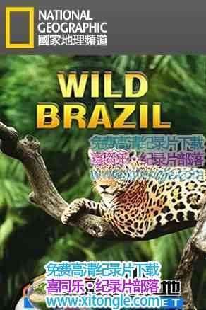 ¼ƬҰ԰ Wild Brazil-