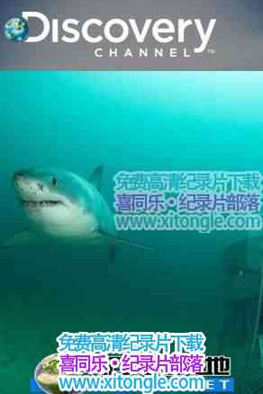 ĳѨLair Of The Mega Shark-¼Ƭ