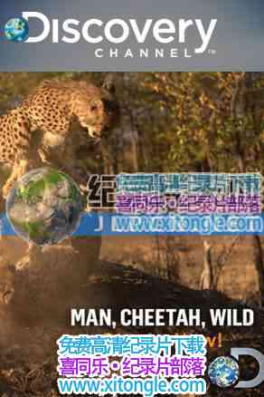 ҰԱˡMan, Cheetah, Wild-¼Ƭ