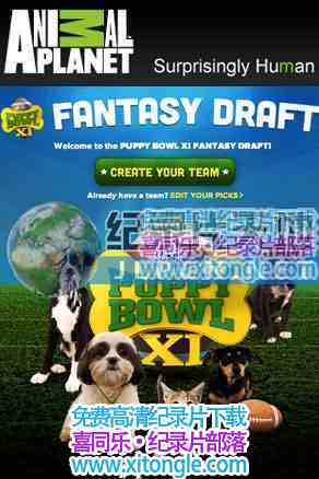 ¼Ƭ Puppy Bowl XI-