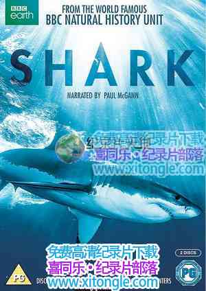 ĺѰ衷Shark - 