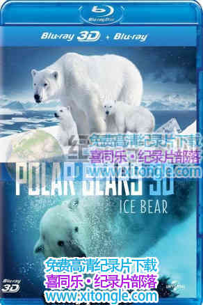 ¼Ƭܣһİµ Polar Bears A Summer Odyssey-