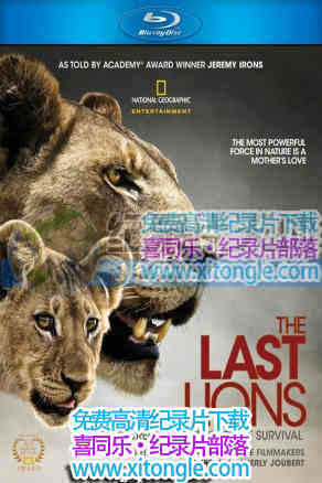 ʨӡThe Last Lions-¼Ƭ