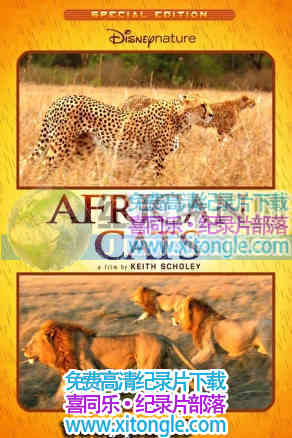 ¼Ƭèƣ African Cats-
