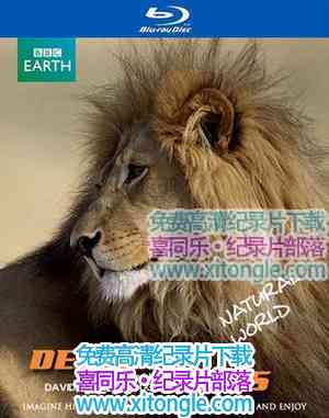 ¼ƬȻ磺ɳĮʨ/ǵر棺ɳĮʨ Planet Earth Bonus Desert Lions-