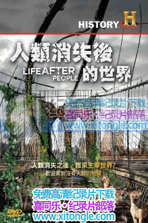 ʧ硷ʷƵ  Life After People-¼Ƭ