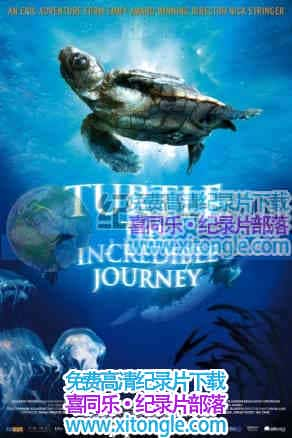 ꣺֮áTurtle: The Incredible Journey-¼Ƭ