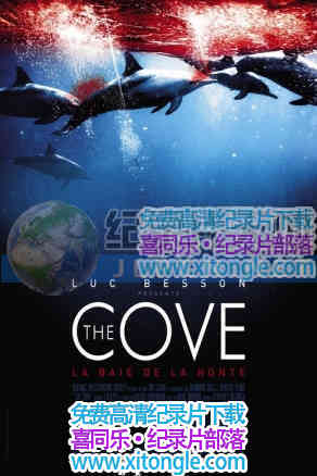 塷The Cove-¼Ƭ