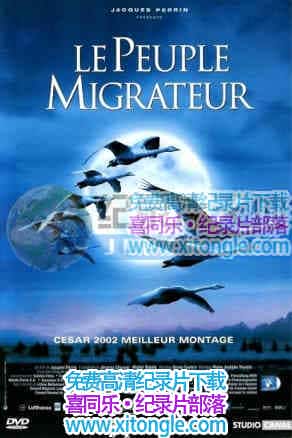 ¼ƬǨ Winged Migration-
