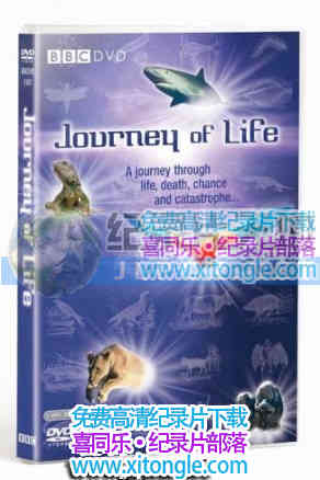 ¼Ƭ֮ Journey of Life-