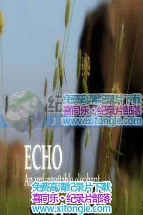 Ȼ磺޷Echo An Unforgettable Elephant - 