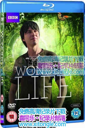 漣Wonders of Life - 