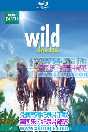 ¼ƬҰ Wild Arabia-