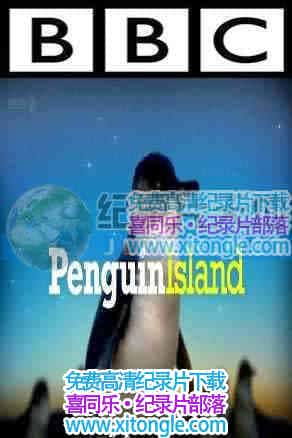 쵺Penguin.Island - 