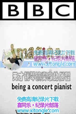 Ÿҵ̡Imagine Being a Concert Pianist - 