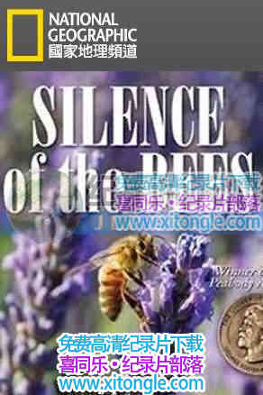 ¼Ƭ--Ĭ۷䡷Silence Of The Bees - Ѹ