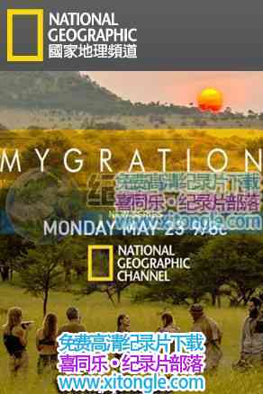 ¼ƬսǨ MyGrations-